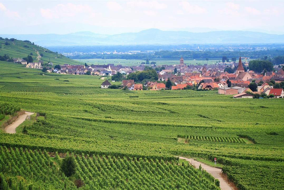 Dégustations et visite de caves de vignerons - Hôtel Alsace