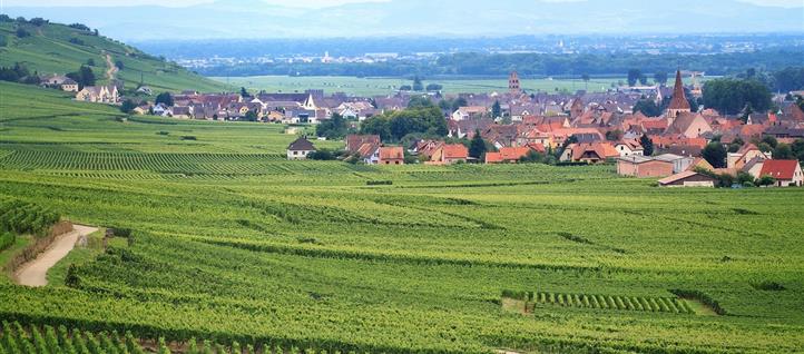 Dégustations et visite de caves de vignerons - Hôtel Alsace